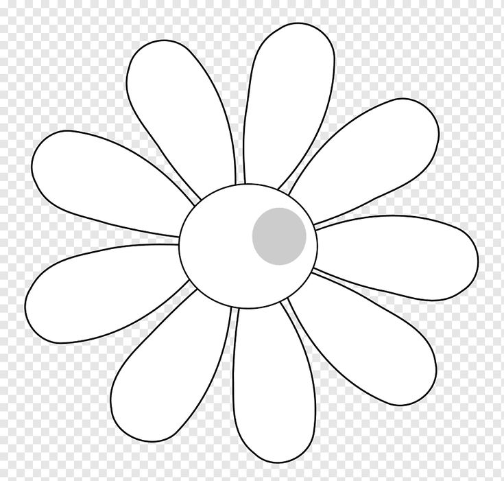 Livro para colorir Margarida comum Flor ...