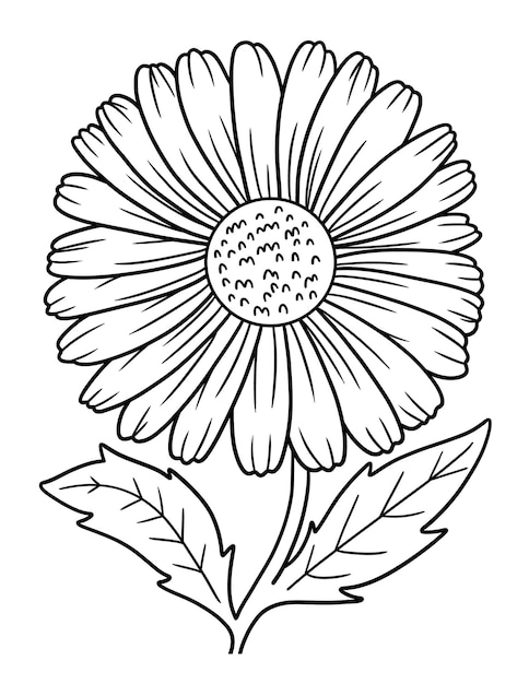 Daisy flower coloring page for adults ...