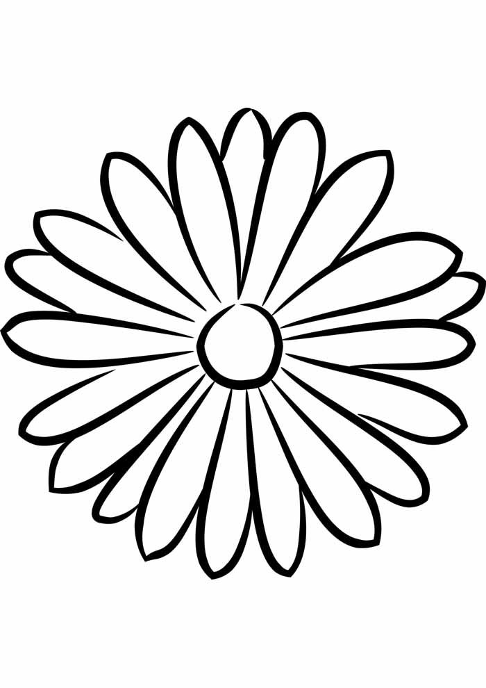 flores-para-colorir-margarida ...