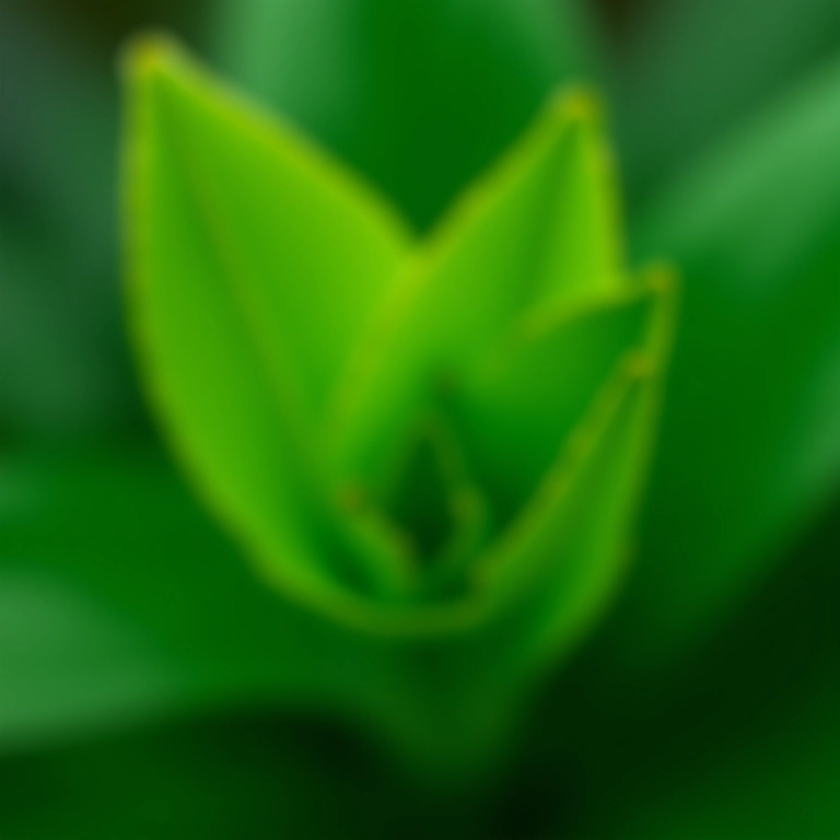 Close-up de Singônio Verde Emerald Gem.