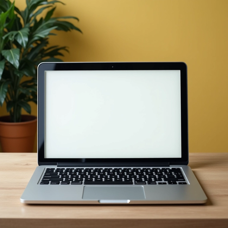 Loja online vazia com um único produto.