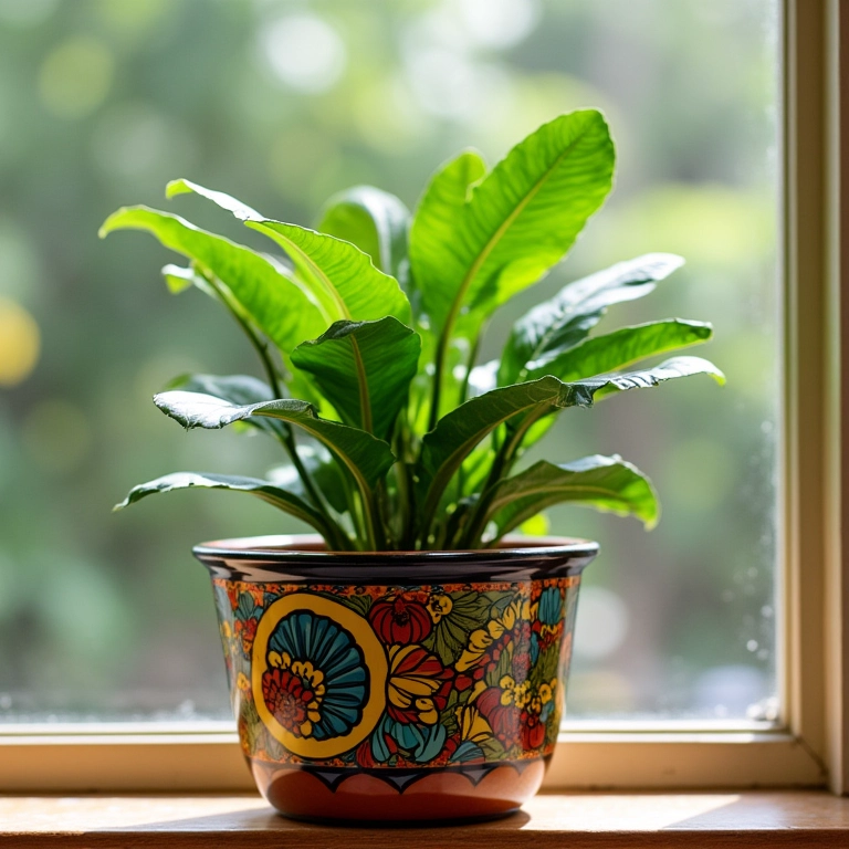 Peixinho da horta plantado em um vaso de cerâmica colorido em uma varanda.