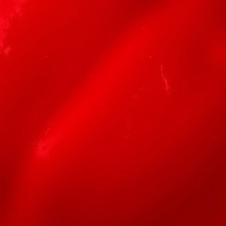 Pimentas vermelhas frescas e muito ardidas para a calda repelente.