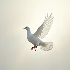 Qual O Animal Que Simboliza A Paz A Pomba Branca E Sua Mensagem Universal Pomba branca voando, símbolo de paz e esperança.
