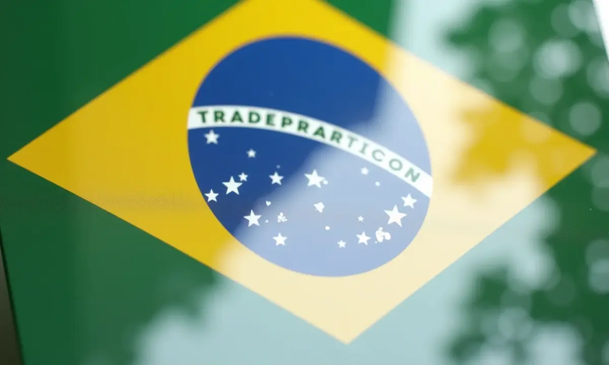 Certificado de registro de marca no INPI com a bandeira brasileira.