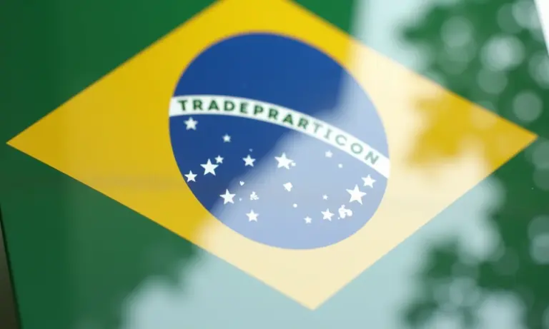 Certificado de registro de marca no INPI com a bandeira brasileira.