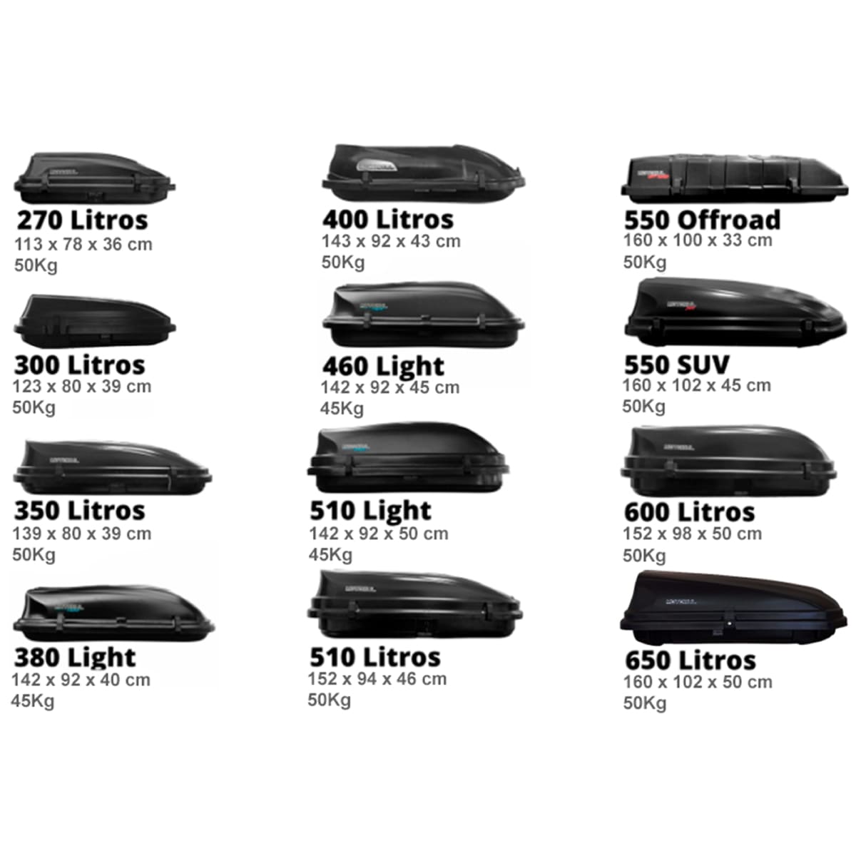 Quais os tipos mais comuns de bagageiros? - inspiração 1