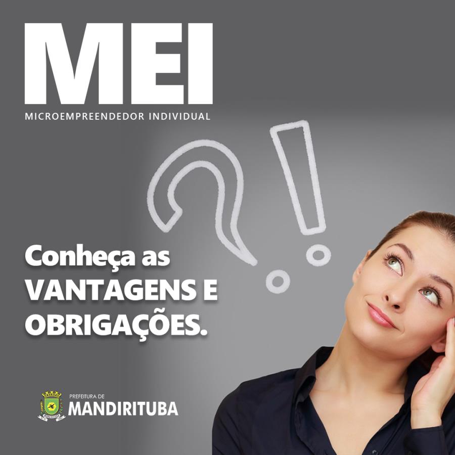 Diferenças Essenciais: MEI vs. Outras Formas de Formalização - inspiração 2