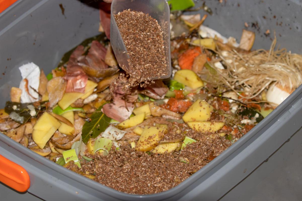 Diferenças Chave: Bokashi vs. Compostagem Tradicional - inspiração 1