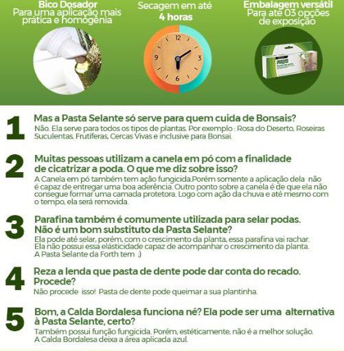 Quando e como podar suas plantas corretamente