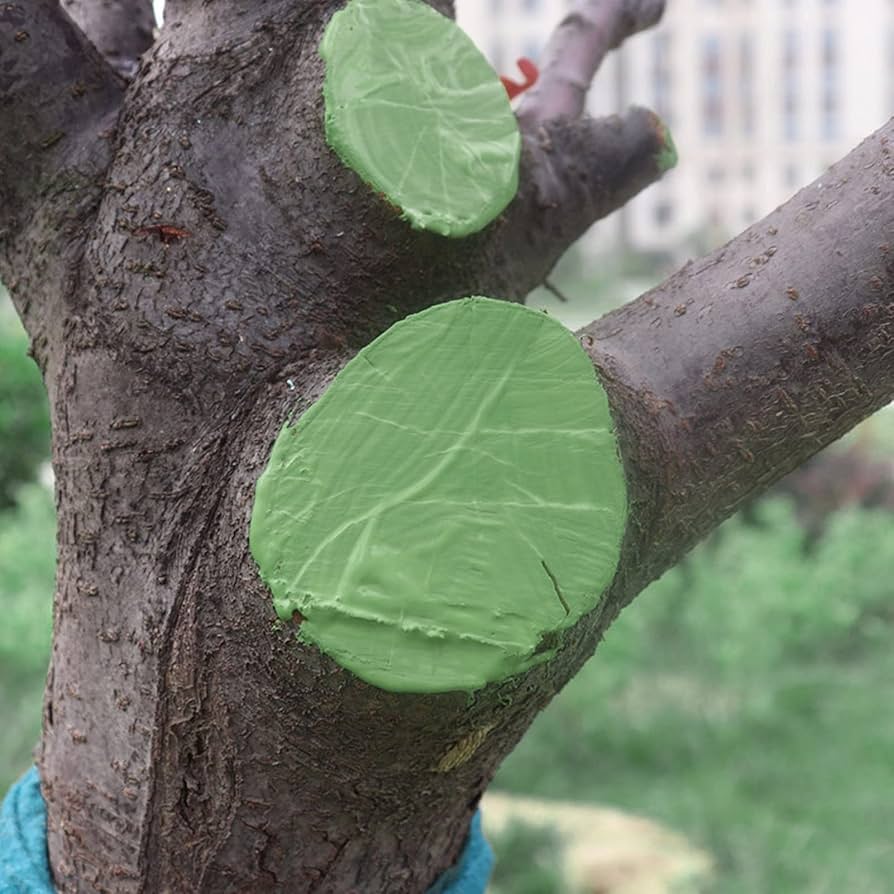 Protegendo árvores de doenças após a poda