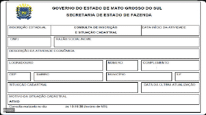 O que é exatamente o CNPJ para o MEI? - inspiração 1