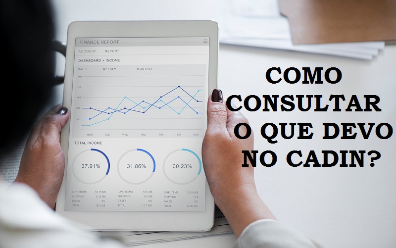 Entendendo o que é o CADIN MEI e por que consultar - inspiração 1