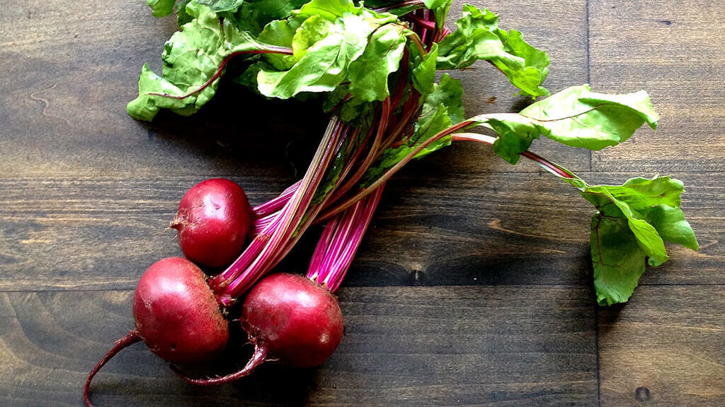 Preparando o Solo: Nutrição e Drenagem que Fazem a Diferença - inspiração 1