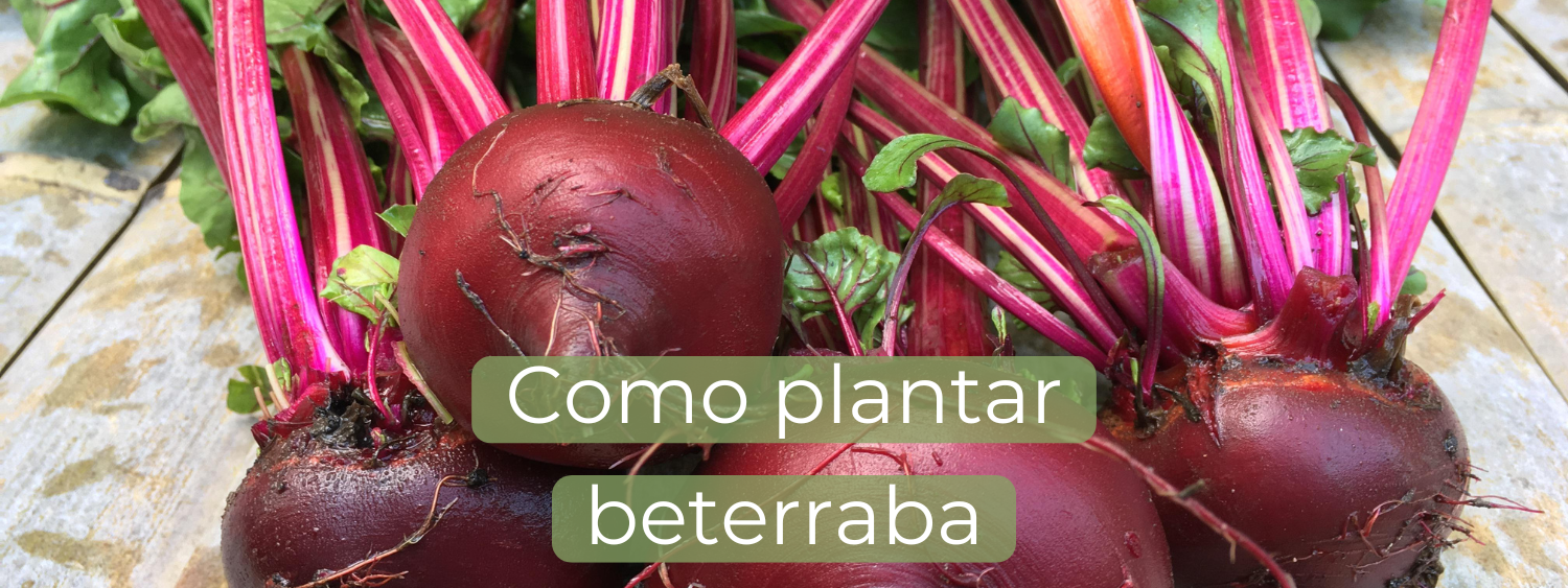 Controle de Pragas e Doenças: Soluções Naturais e Eficazes - inspiração 2