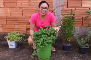 Receitas com hortelã para o verão