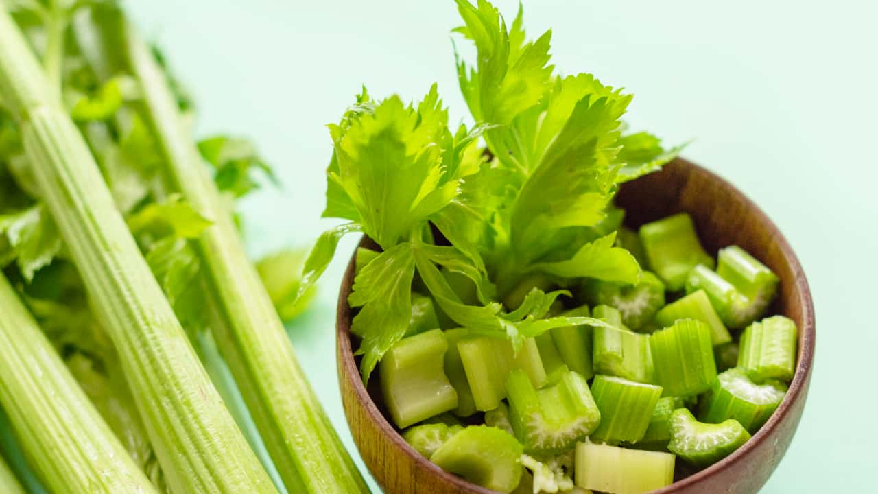 O Substrato Perfeito: Solo Leve e Nutritivo para o Salsão - inspiração 1