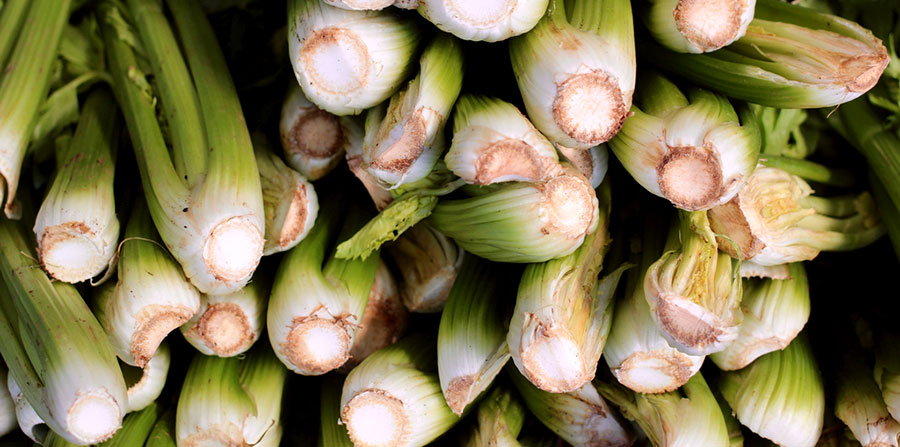 Salsão em Vaso: Dicas para um Crescimento Robusto - inspiração 2