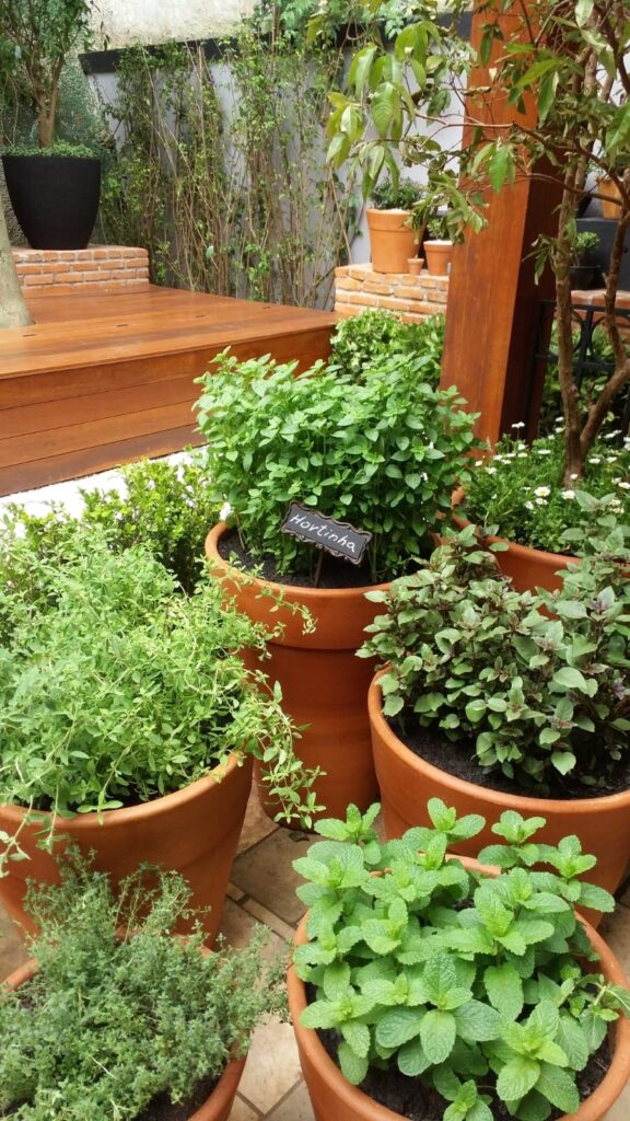 Como Saber Se o Substrato Está Pronto Para Usar? - inspiração 2