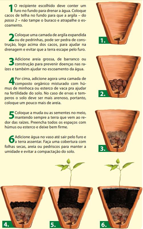 A Importância da Drenagem: Evitando Raízes Sufocadas - inspiração 1