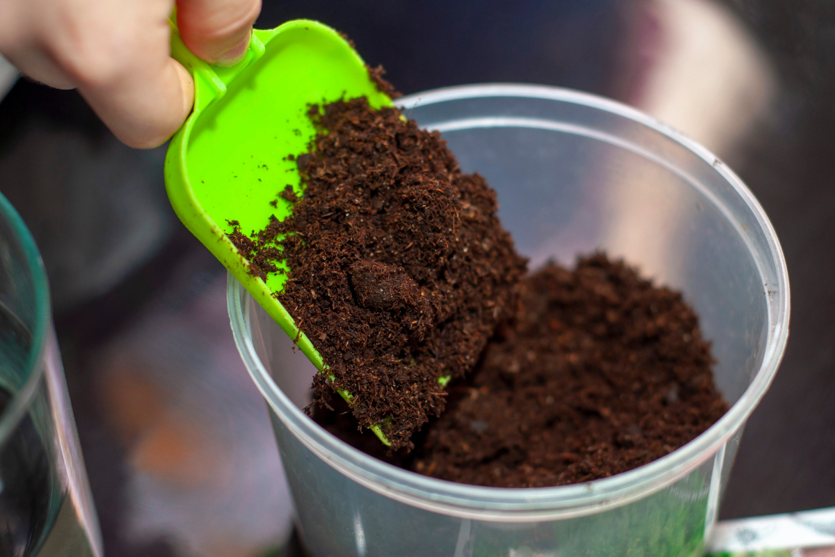 Esterco Curado: O Toque Final para a Fertilidade - inspiração 1