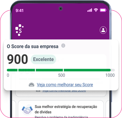 Descobrindo Onde Consultar Seu Score CNPJ Gratuitamente - inspiração 2