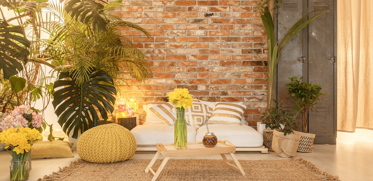 O Toque Verde: Plantas que Purificam o Ar e a Mente - inspiração 1