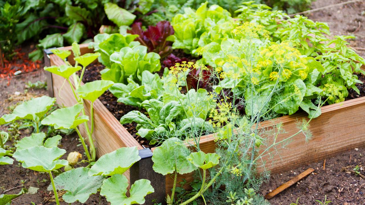 Ferramentas Essenciais: O Básico para Não Gastar Mais que o Necessário - inspiração 1