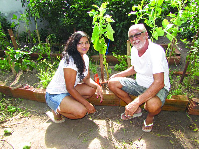 Consorciação de Culturas: Amigos no Canteiro que Multiplicam sua Colheita - inspiração 2