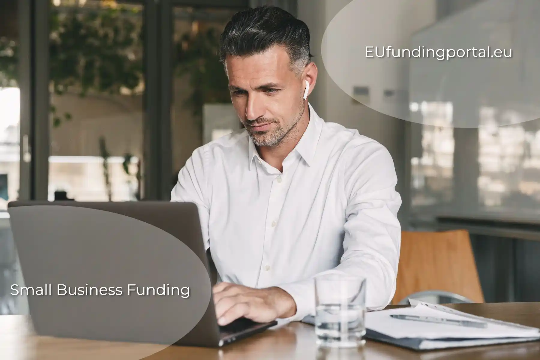 Agências de Fomento Estaduais: Seu Aliado Financeiro Local