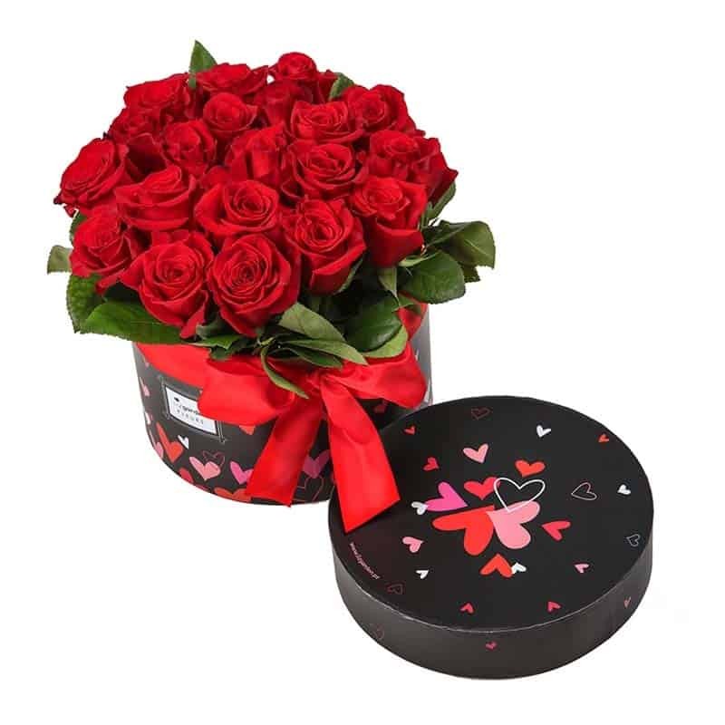 Orquídea: Exotismo, Luxo e Atração Duradoura - inspiração 2