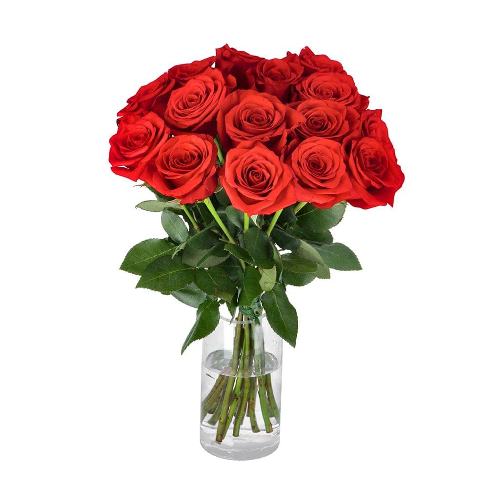 Cravo: Afeto, Amizade e Simplicidade Charmosa - inspiração 1