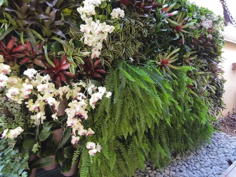 Como Escolher as Melhores Flores Pendentes para seu Apartamento