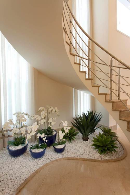 Guia Completo de Cuidados com Plantas em Jardins Verticais