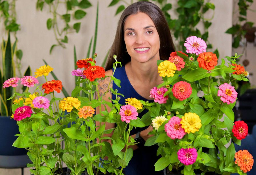 Impatiens: O Toque de Cor Ideal para Cantinhos Sombrios - inspiração 2