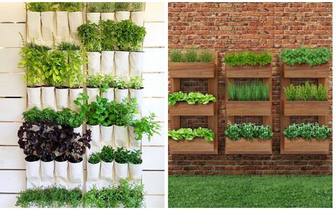 O Substrato Ideal: Nutrição Sem Excesso de Umidade - inspiração 2