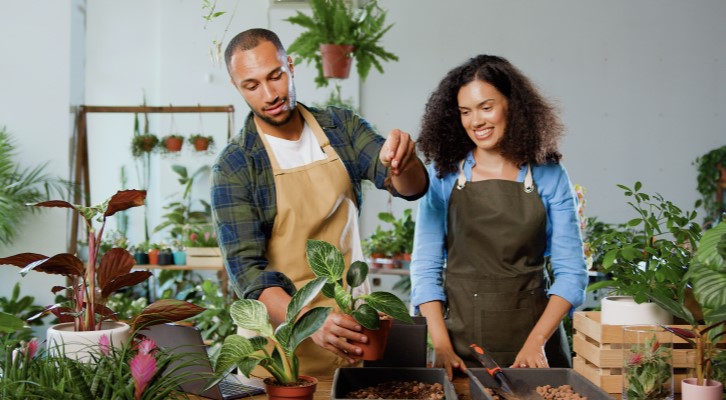 As Estrelas da Horta: Quais Plantas Amam o Sol da Manhã? - inspiração 1