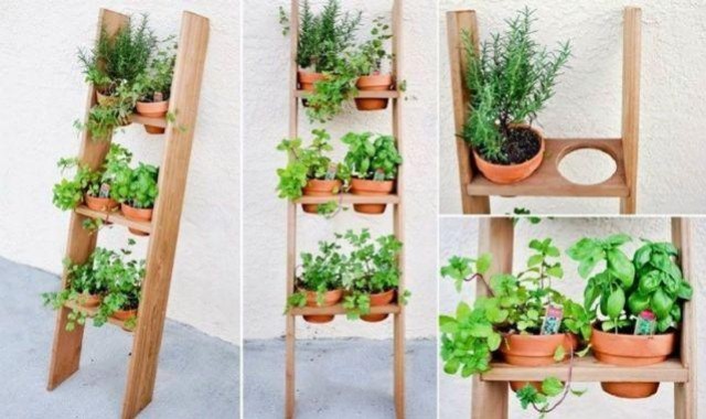 O Manejo de Pragas e Doenças: Prevenção é o Melhor Remédio - inspiração 1