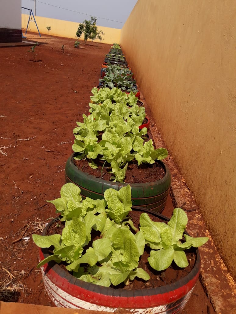 5 erros comuns ao plantar em pneus e como evitá-los