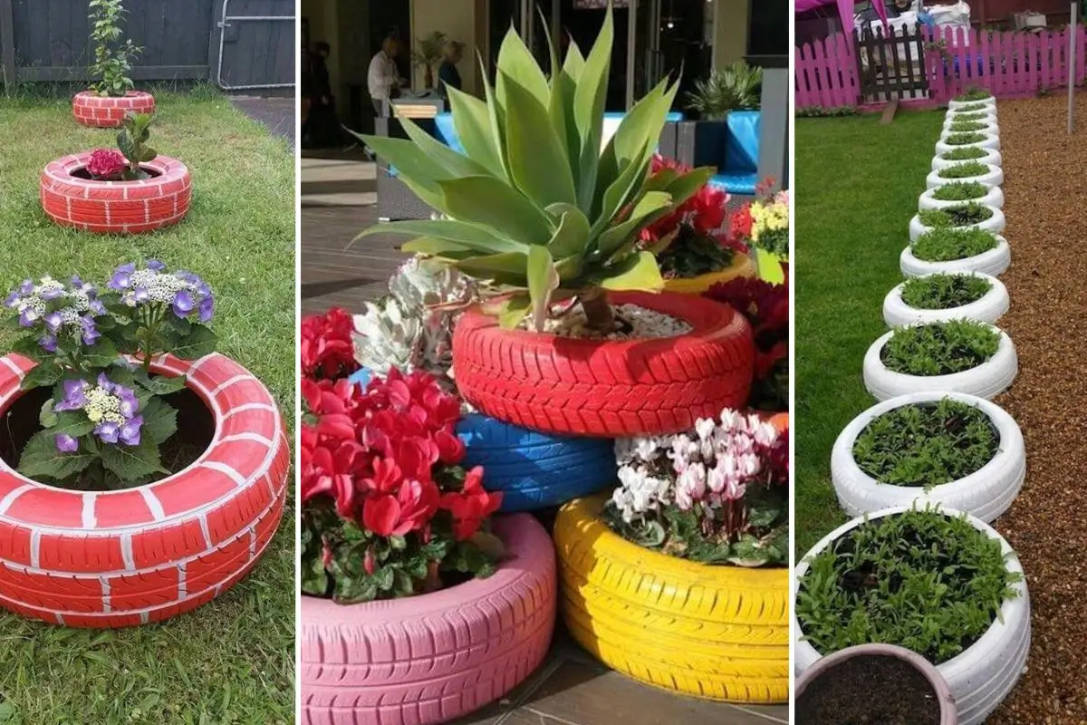 Benefícios da compostagem caseira para sua horta