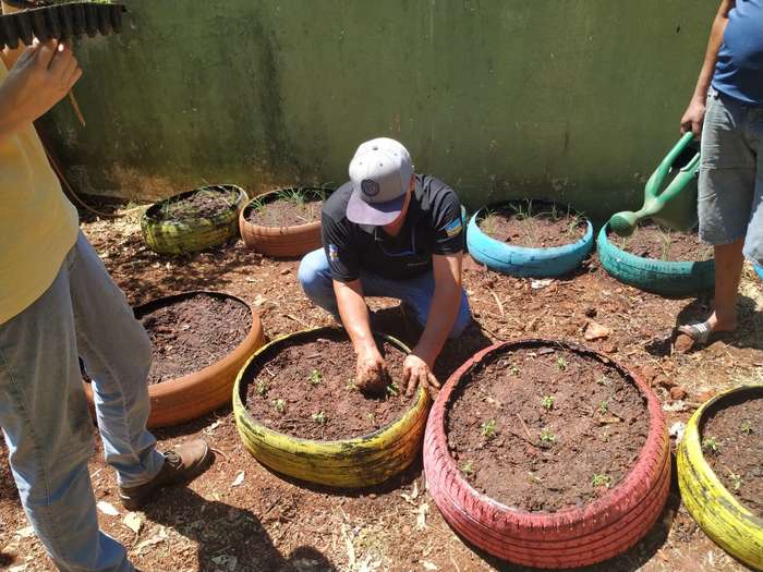 5 erros comuns ao plantar em pneus e como evitá-los