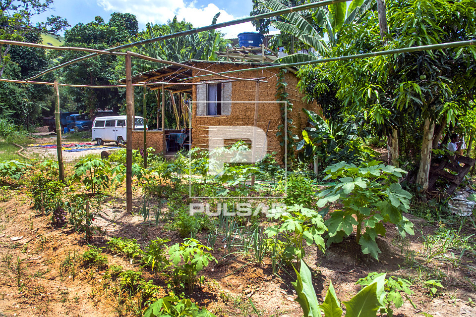 Por Que Escolher a Taipa Para Sua Horta? - inspiração 1