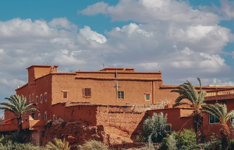 Colheita e Manutenção: Ciclo de Vida da Sua Horta - inspiração 1