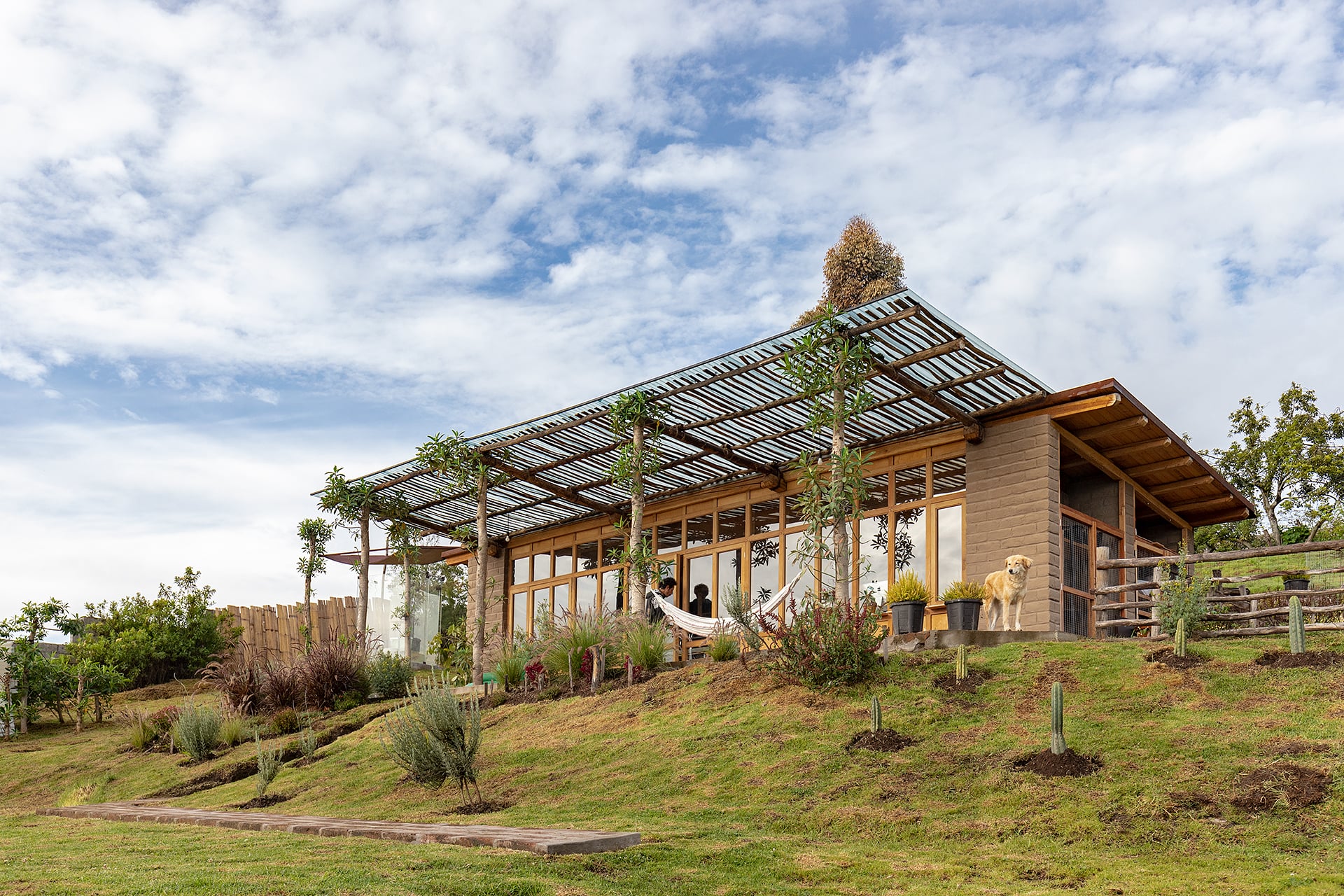 Seleção Inteligente de Plantas Para Sua Horta - inspiração 1