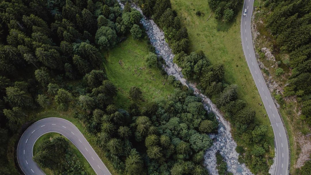 Seleção Inteligente de Plantas Para Sua Horta - inspiração 2