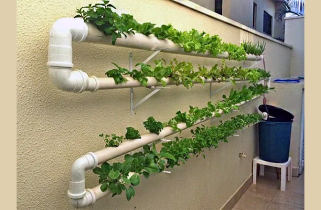 Hidroponia Vertical vs. Horizontal: Qual a Melhor para Você?