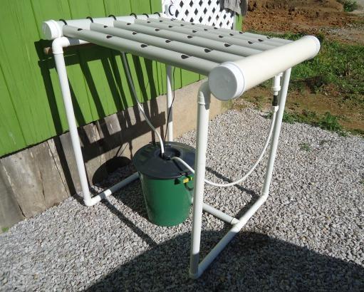 Os Melhores Legumes para Cultivo Hidropônico Avançado