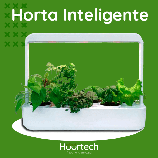 Escolhendo as Plantas Certas para o Seu Espaço e Clima - inspiração 2