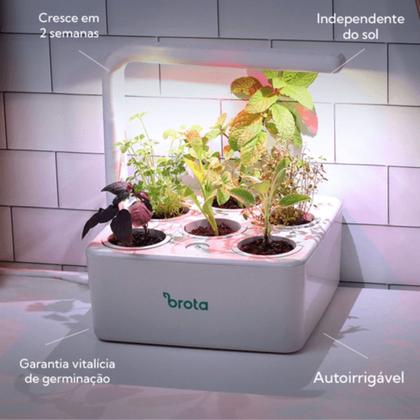 Colheita Inteligente: O Momento Certo para Saborear - inspiração 2