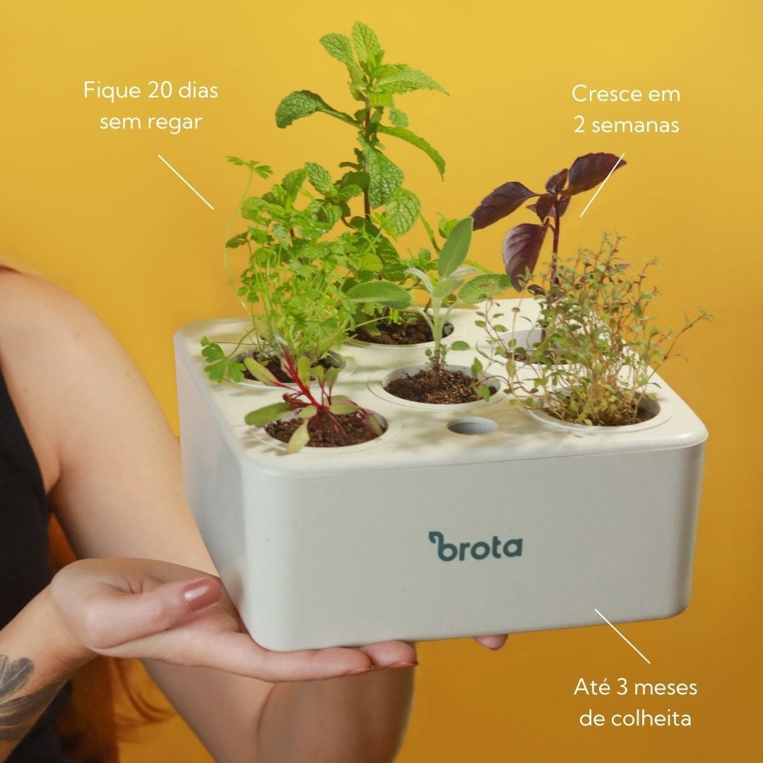 O Segredo do Solo Perfeito: Preparo e Nutrição - inspiração 1